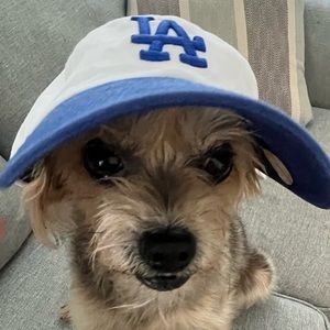 Meet your Posher, Maya